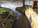 2011-01-17, Pillnitz (13)